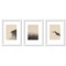 Sepia Nature Scape by Roseanne Kenny - 3 Piece Gallery Framed Print Art Set